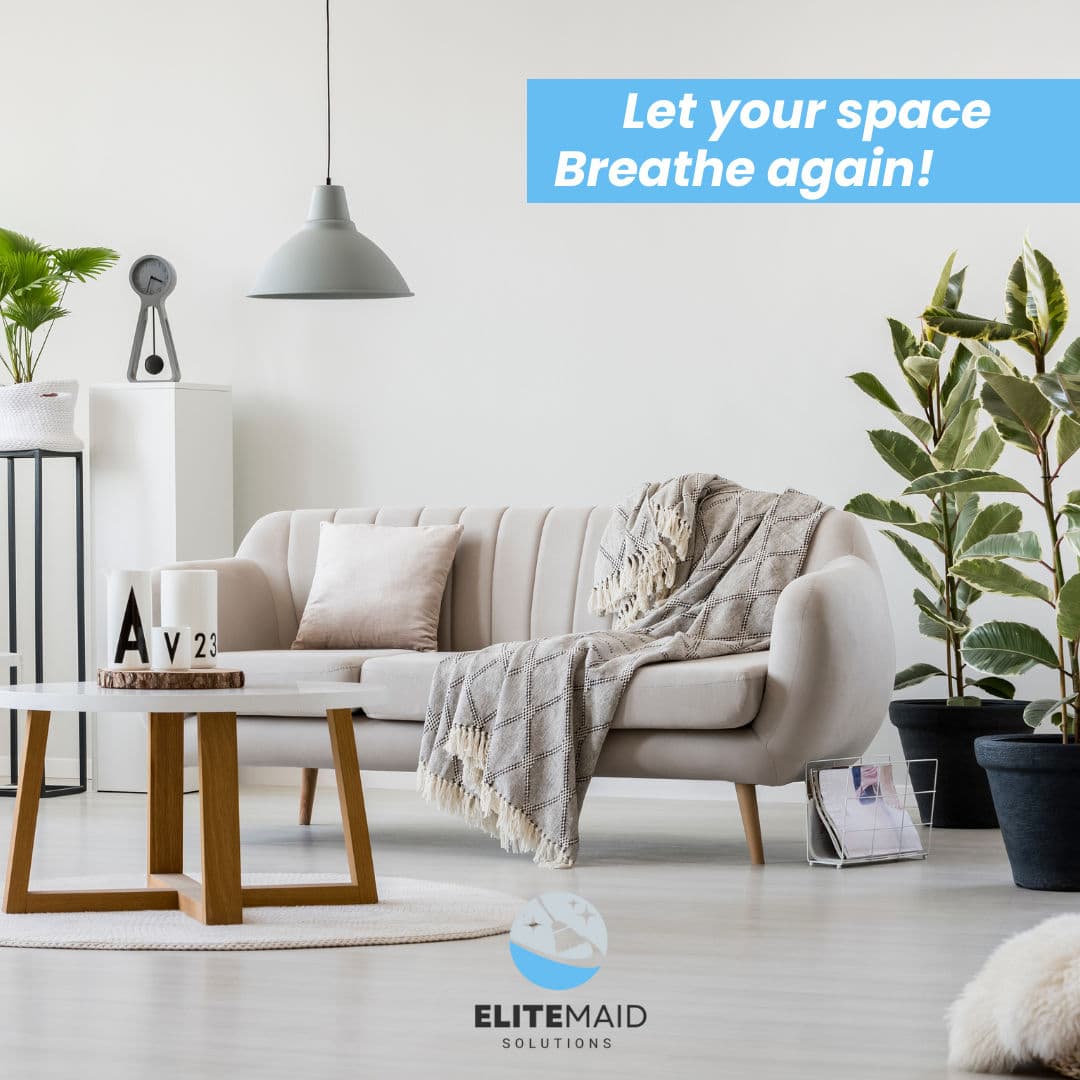 Project Transform Your Living Room into a Fresh Oasis image